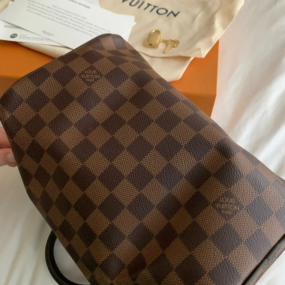 Louis Vuitton classic louis